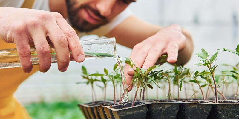 Märchenwelt gesundes Essen