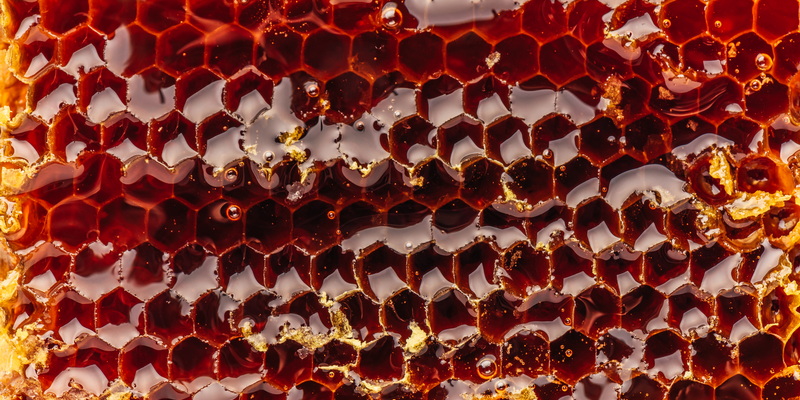 Immunsystem – was du vermeiden solltest